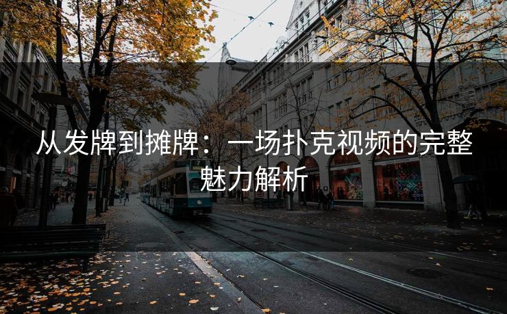 从发牌到摊牌：一场扑克视频的完整魅力解析