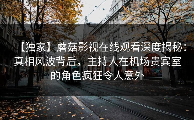 【独家】蘑菇影视在线观看深度揭秘：真相风波背后，主持人在机场贵宾室的角色疯狂令人意外