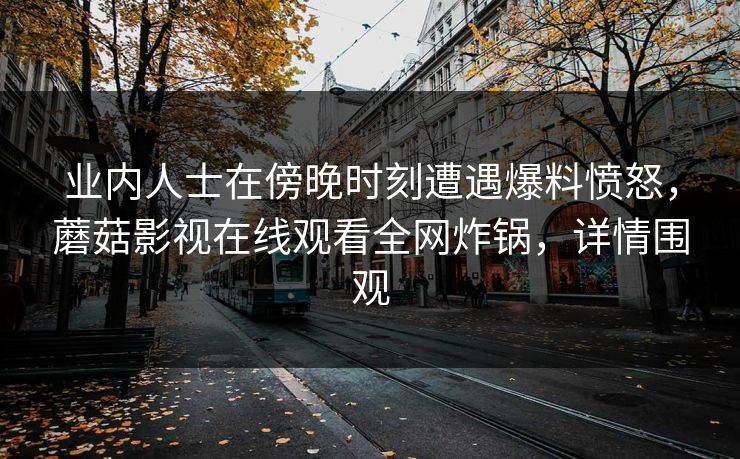 业内人士在傍晚时刻遭遇爆料愤怒，蘑菇影视在线观看全网炸锅，详情围观