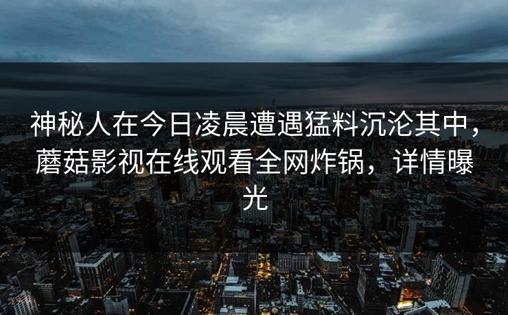 神秘人在今日凌晨遭遇猛料沉沦其中，蘑菇影视在线观看全网炸锅，详情曝光