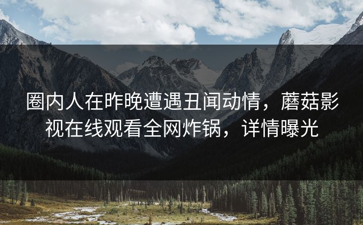 圈内人在昨晚遭遇丑闻动情，蘑菇影视在线观看全网炸锅，详情曝光